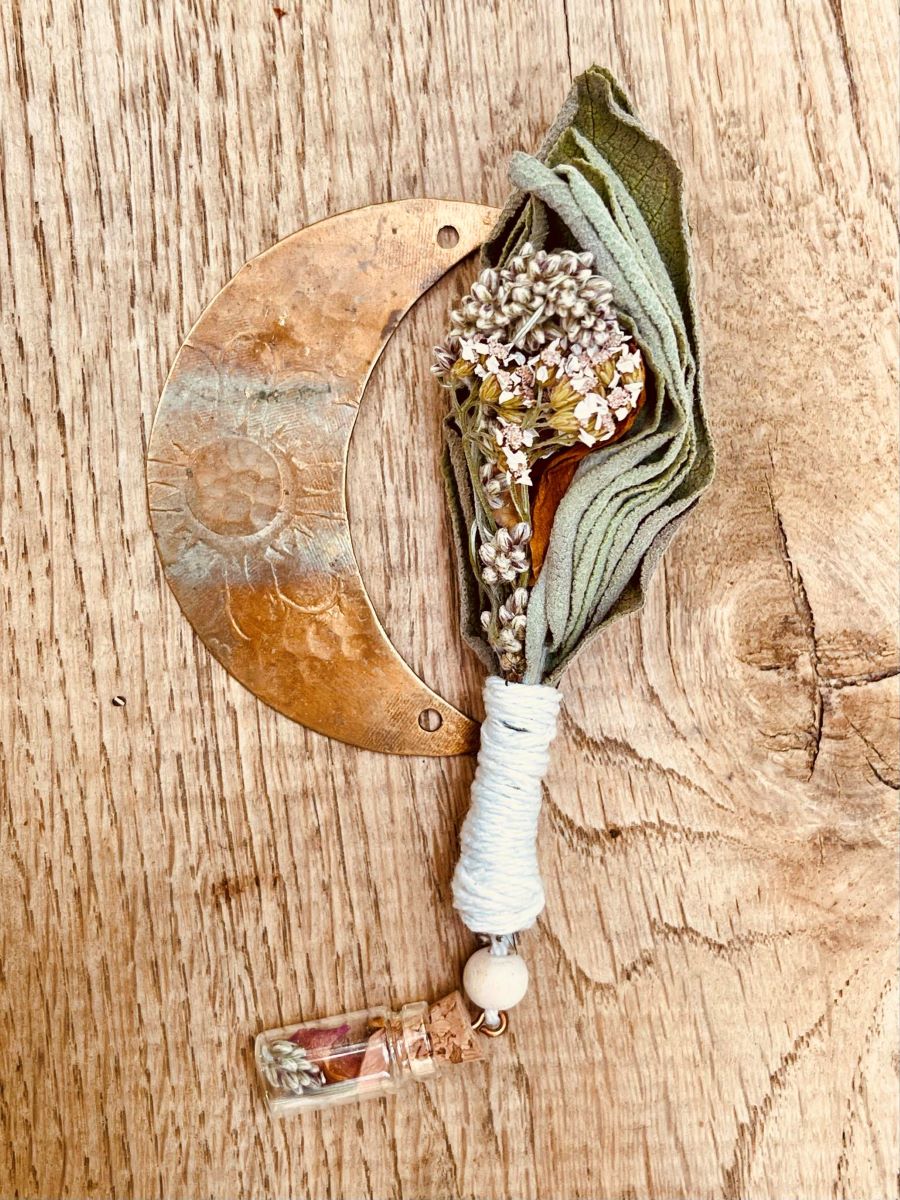 Salvia Vulva – Image 2