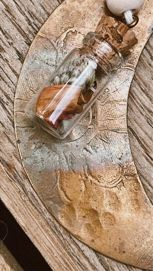 Salvia Vulva – Image 3